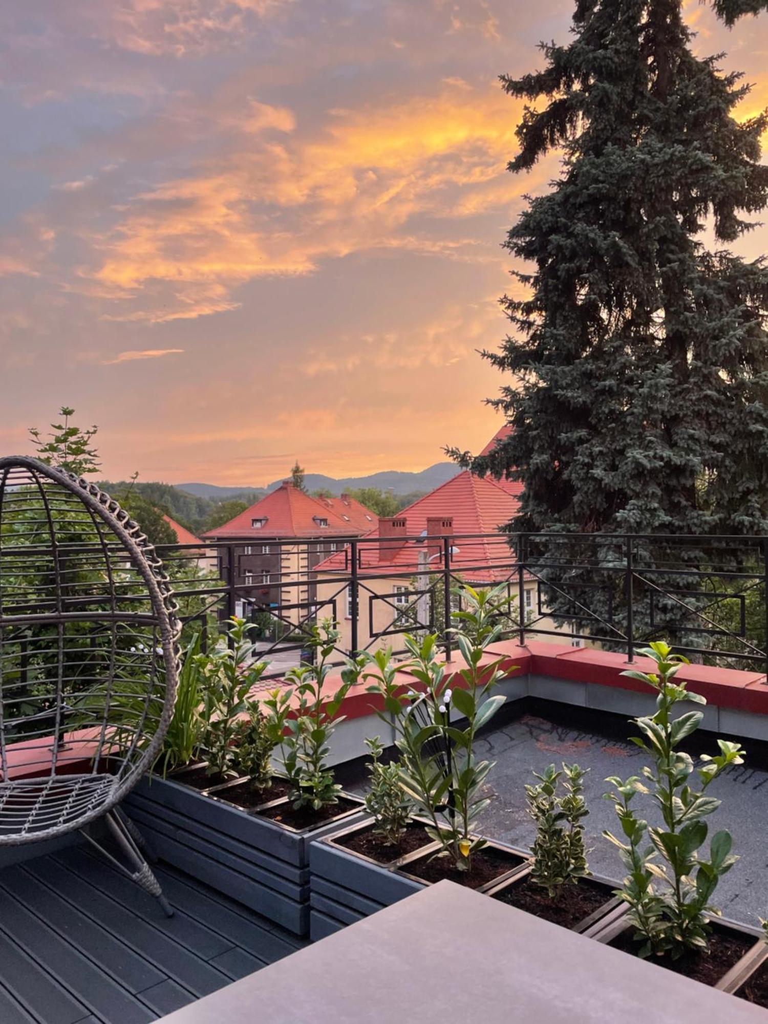 Szmaragdowa Sowa